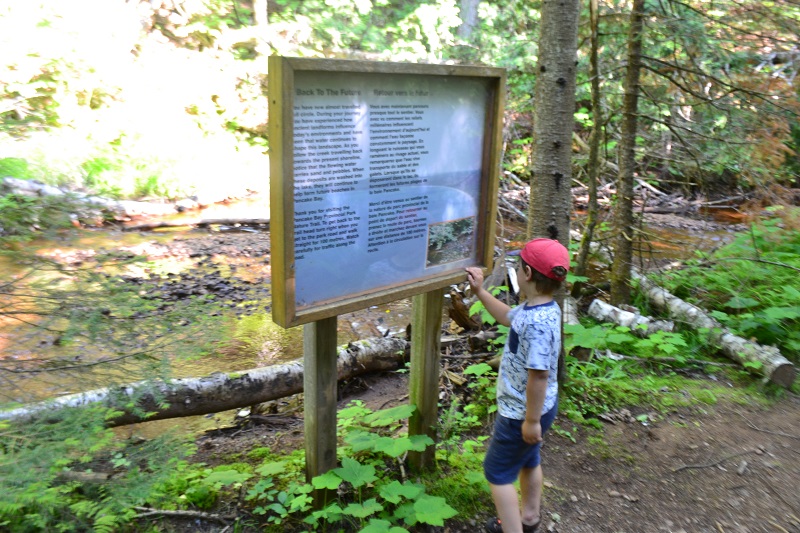 Interpretive sign