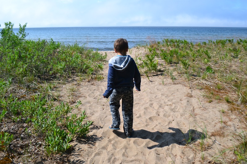 Path through dunes