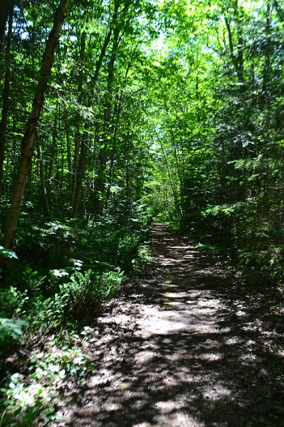 Nature trail