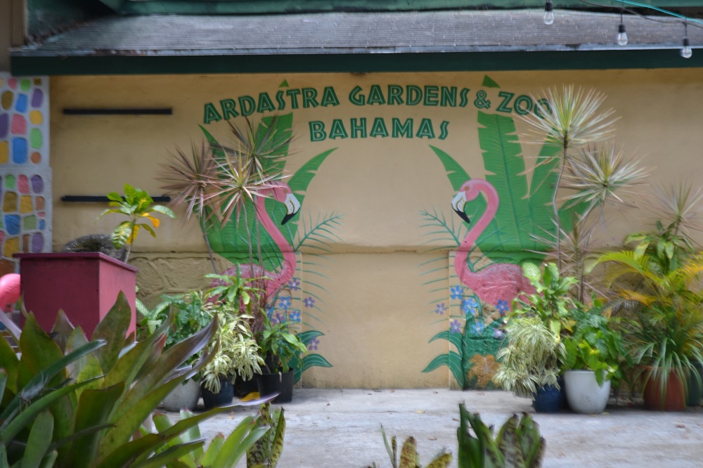 Ardastra Zoo Bahamas