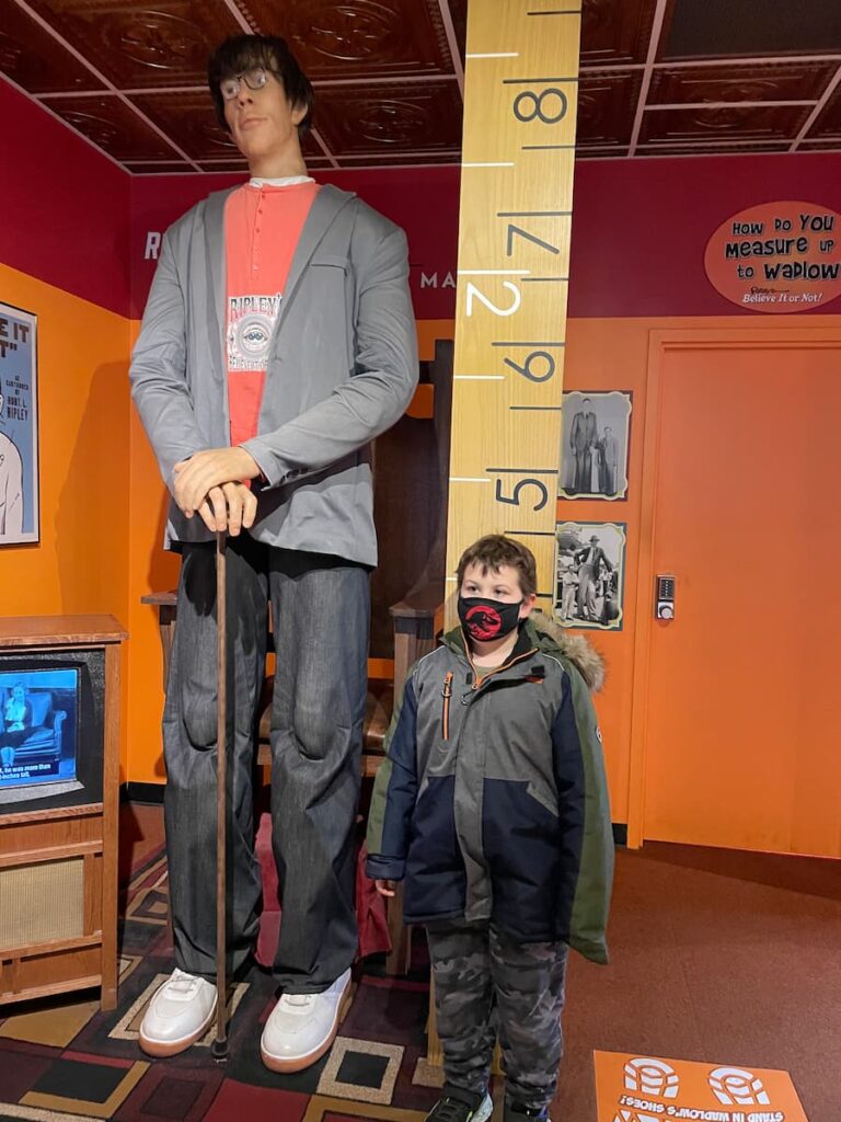 Figure of a tall man exhibit on display inside Ripley’s Believe It or Not! museum